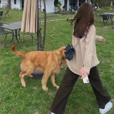 魇会